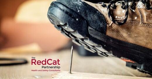 Case Study - Redcat Partnership
